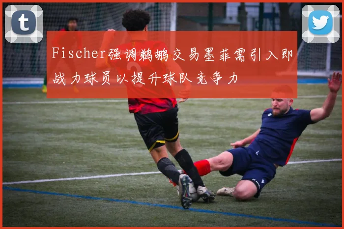 Fischer强调鹈鹕交易墨菲需引入即战力球员以提升球队竞争力