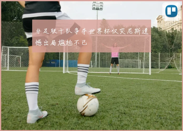 非足联十队争夺世界杯仅突尼斯遗憾出局尴尬不已