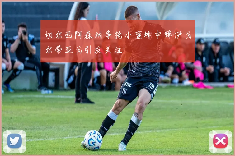 切尔西阿森纳争抢小蜜蜂中锋伊戈尔蒂亚戈引发关注